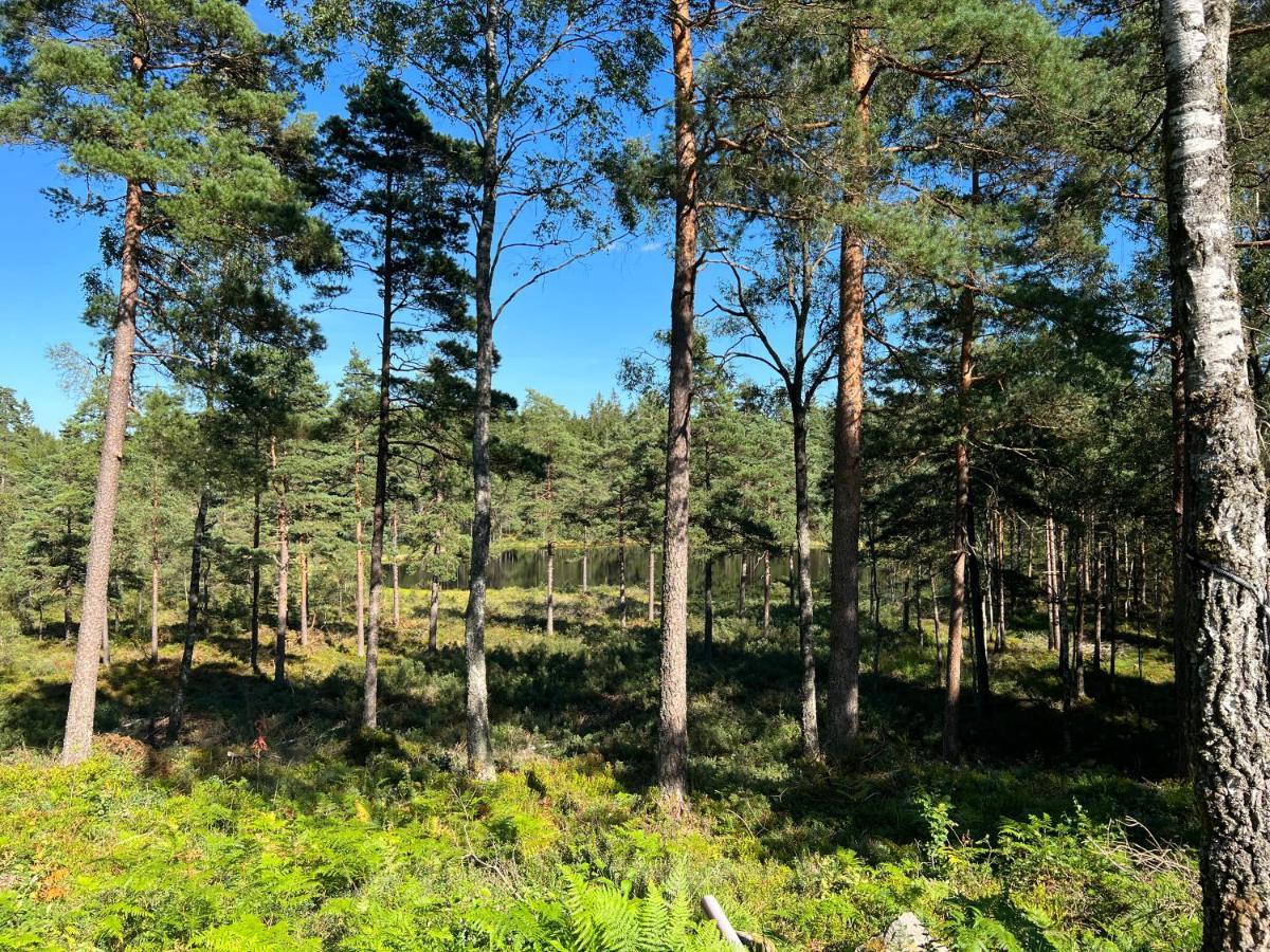 Asserbostugan Överlida Buitenkant foto