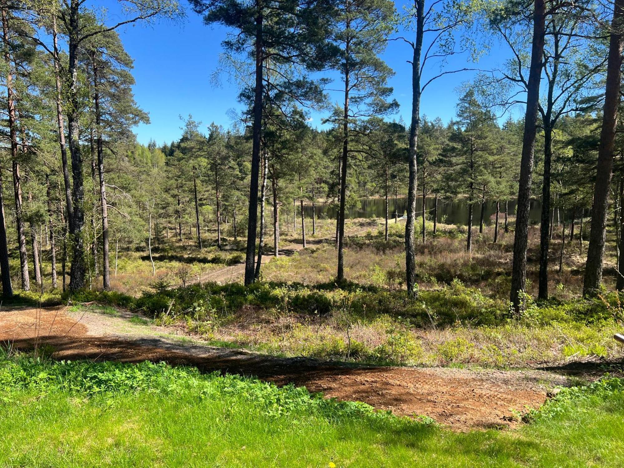 Asserbostugan Överlida Buitenkant foto